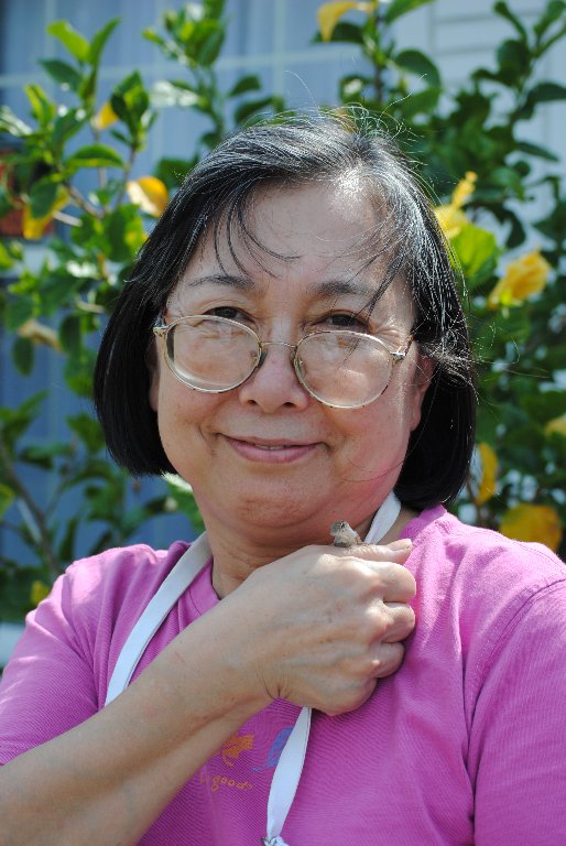 My Little Lizards -  2014